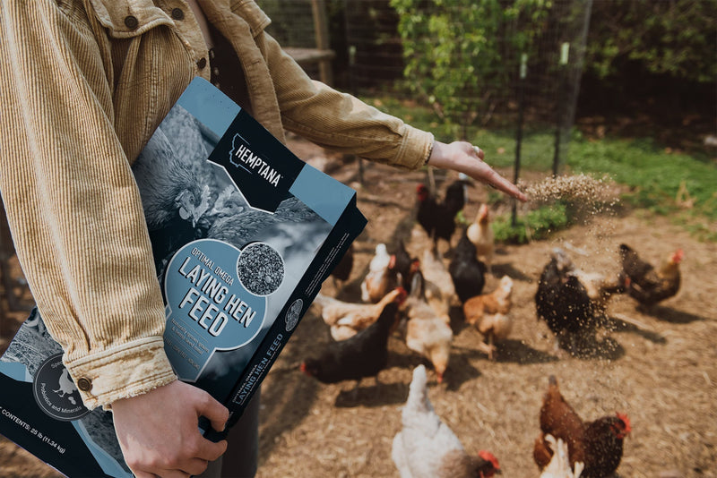 Introducing Hemptana's Optimal Omega Laying Hen Feed: A Game-Changer in Poultry Nutrition
