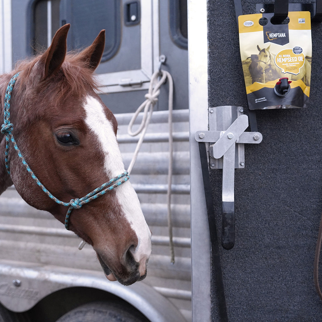 Hempseed Oil Pouch 1.5L