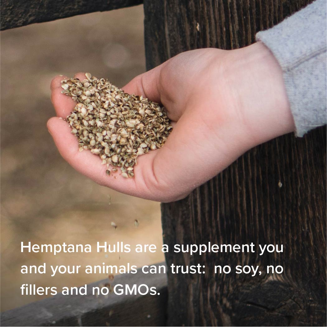 Hempseed Hulls